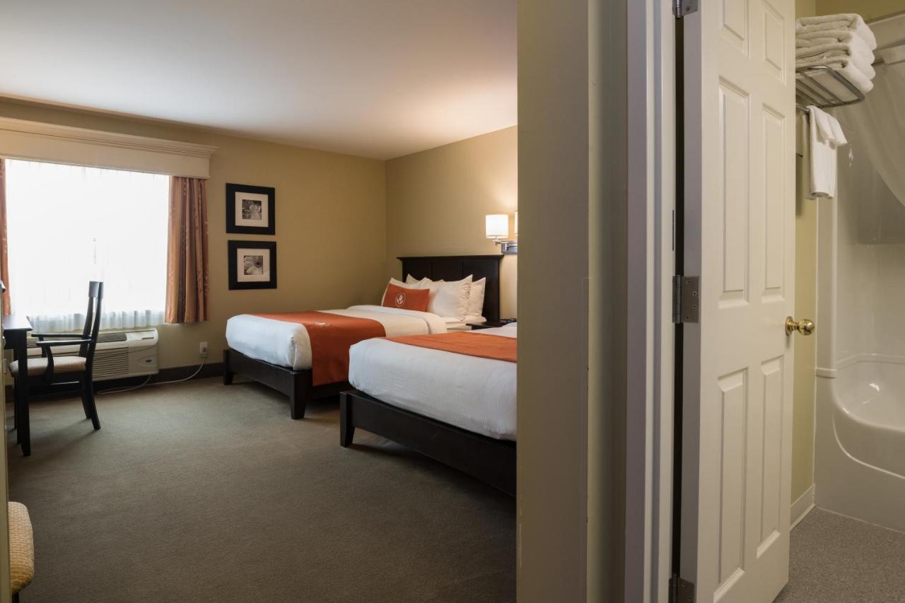 Amsterdam Inn & Suites Sussex Extérieur photo