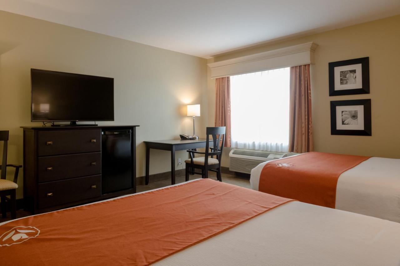 Amsterdam Inn & Suites Sussex Extérieur photo