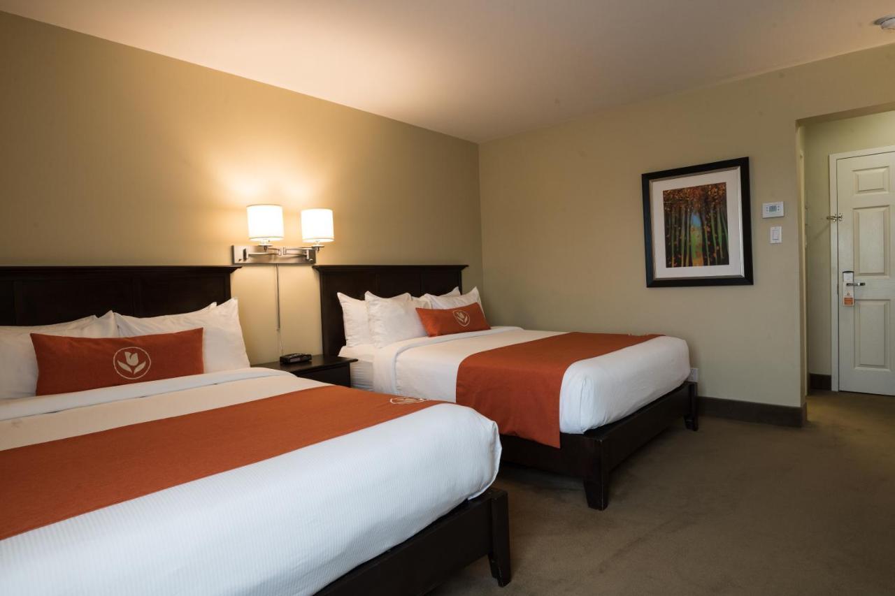 Amsterdam Inn & Suites Sussex Extérieur photo