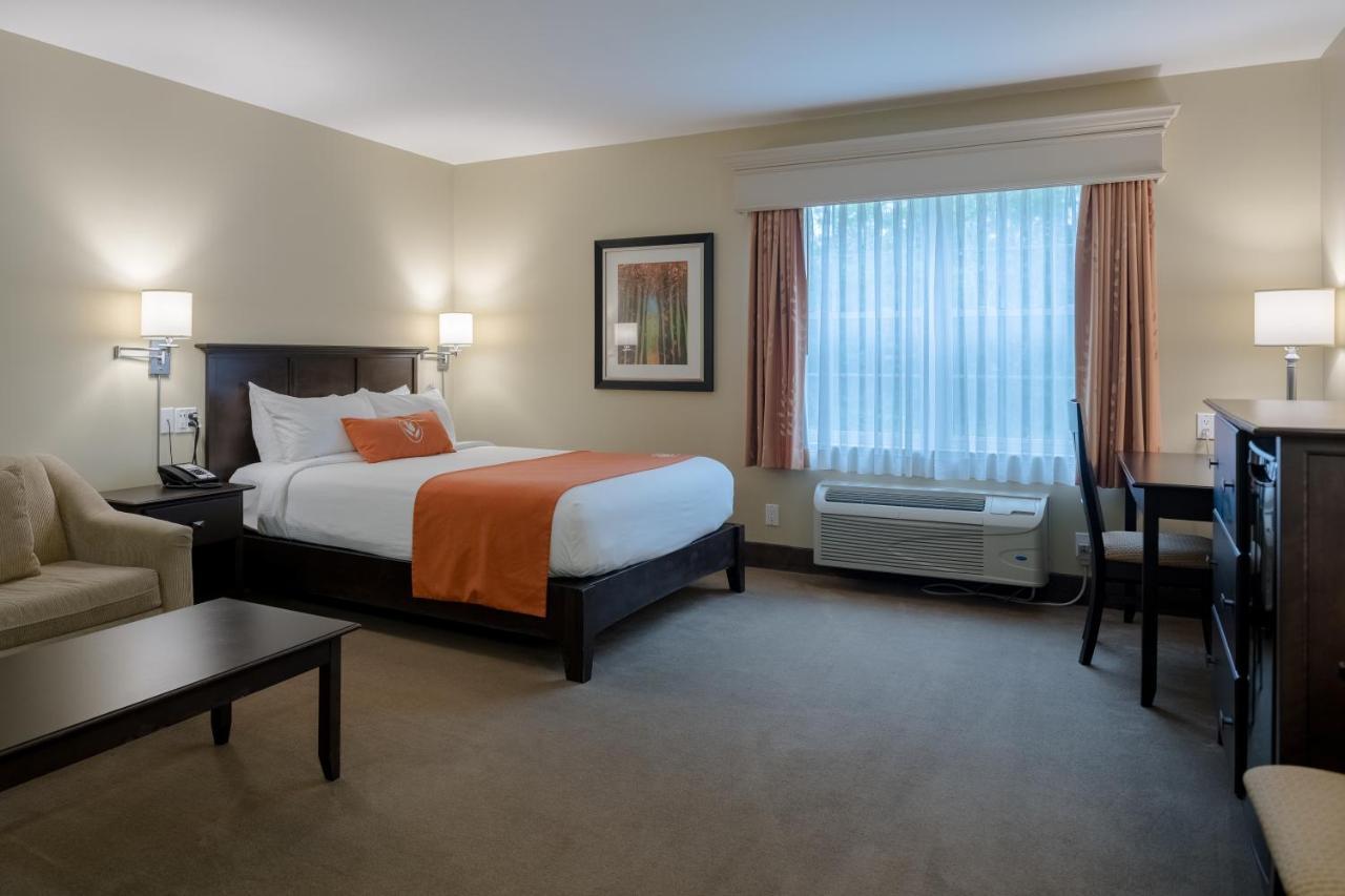 Amsterdam Inn & Suites Sussex Extérieur photo