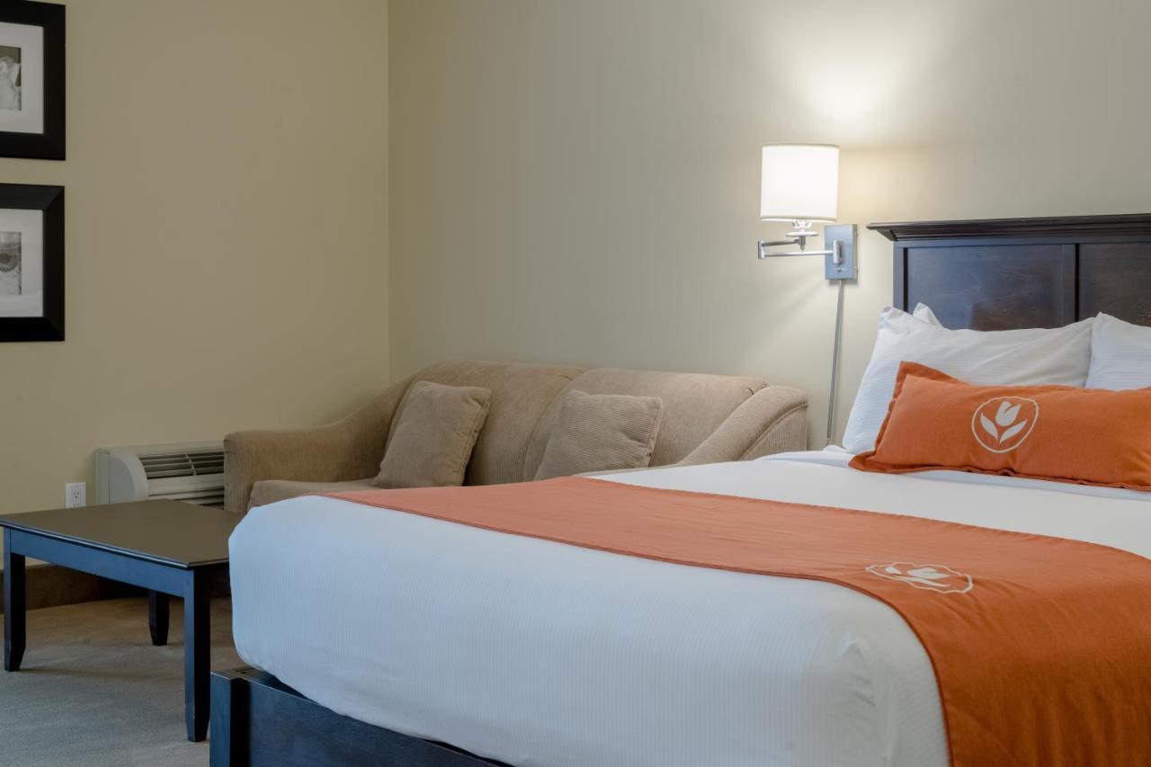 Amsterdam Inn & Suites Sussex Extérieur photo