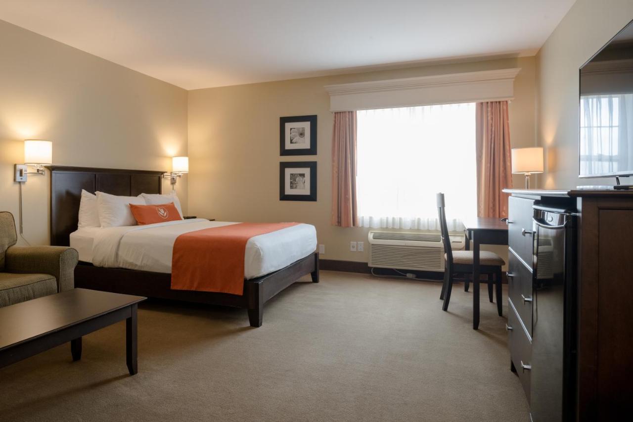 Amsterdam Inn & Suites Sussex Extérieur photo