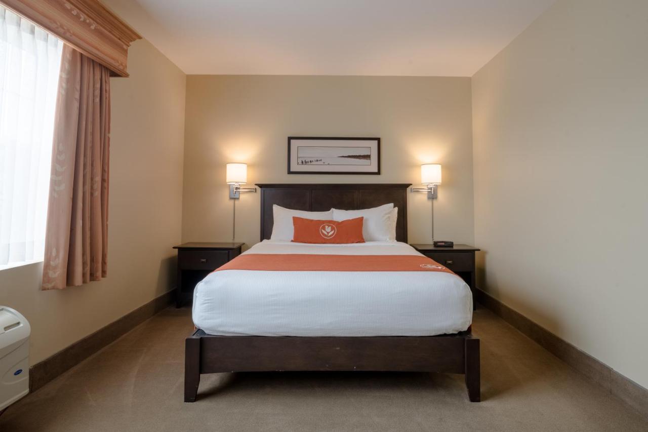 Amsterdam Inn & Suites Sussex Extérieur photo