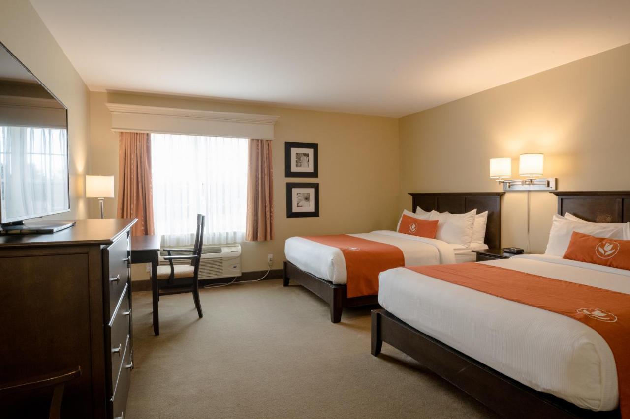 Amsterdam Inn & Suites Sussex Extérieur photo
