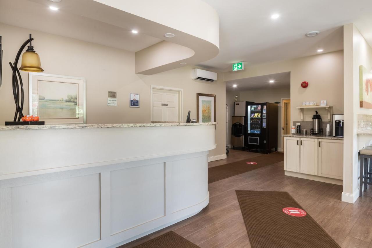 Amsterdam Inn & Suites Sussex Extérieur photo