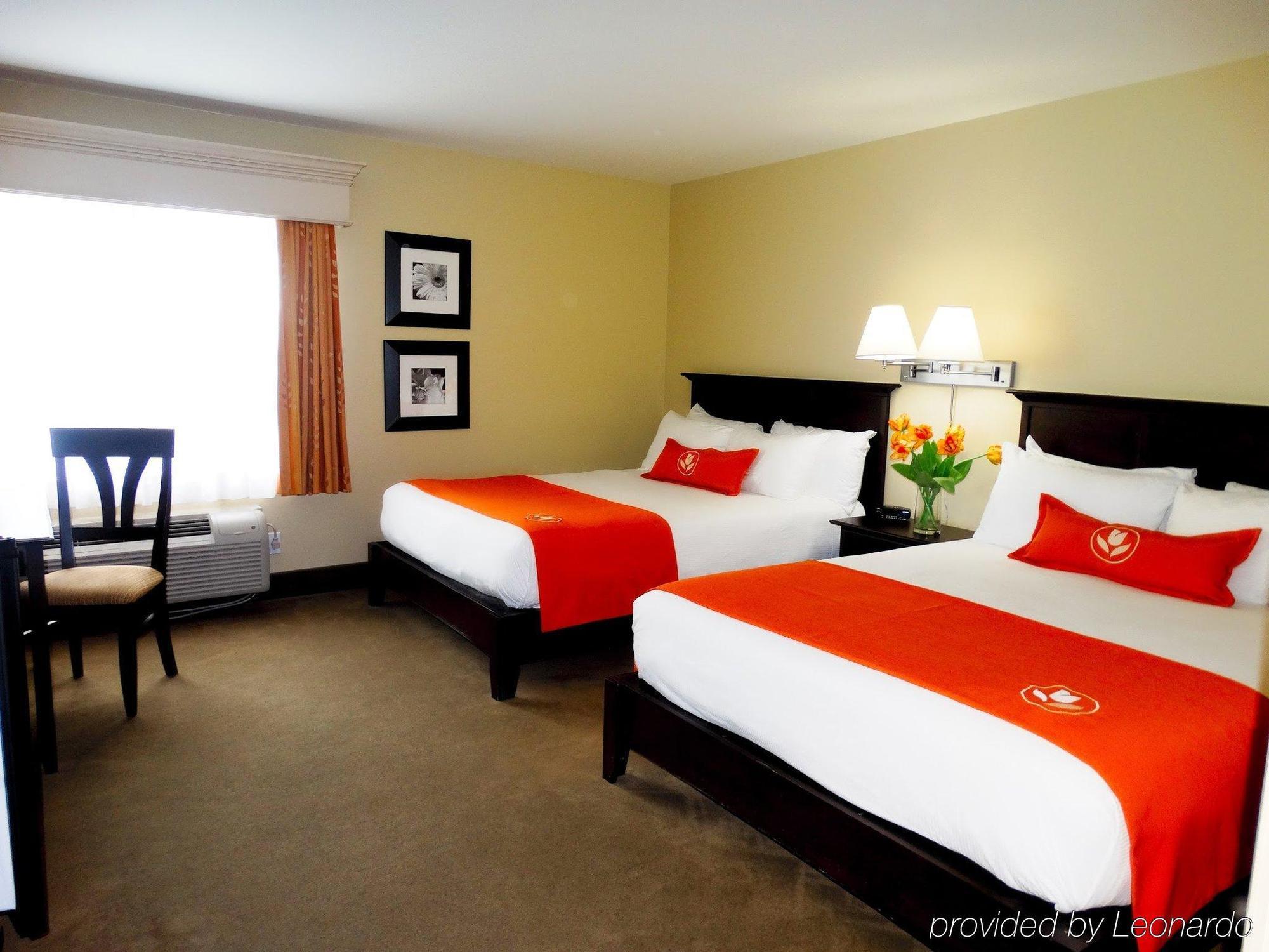 Amsterdam Inn & Suites Sussex Extérieur photo