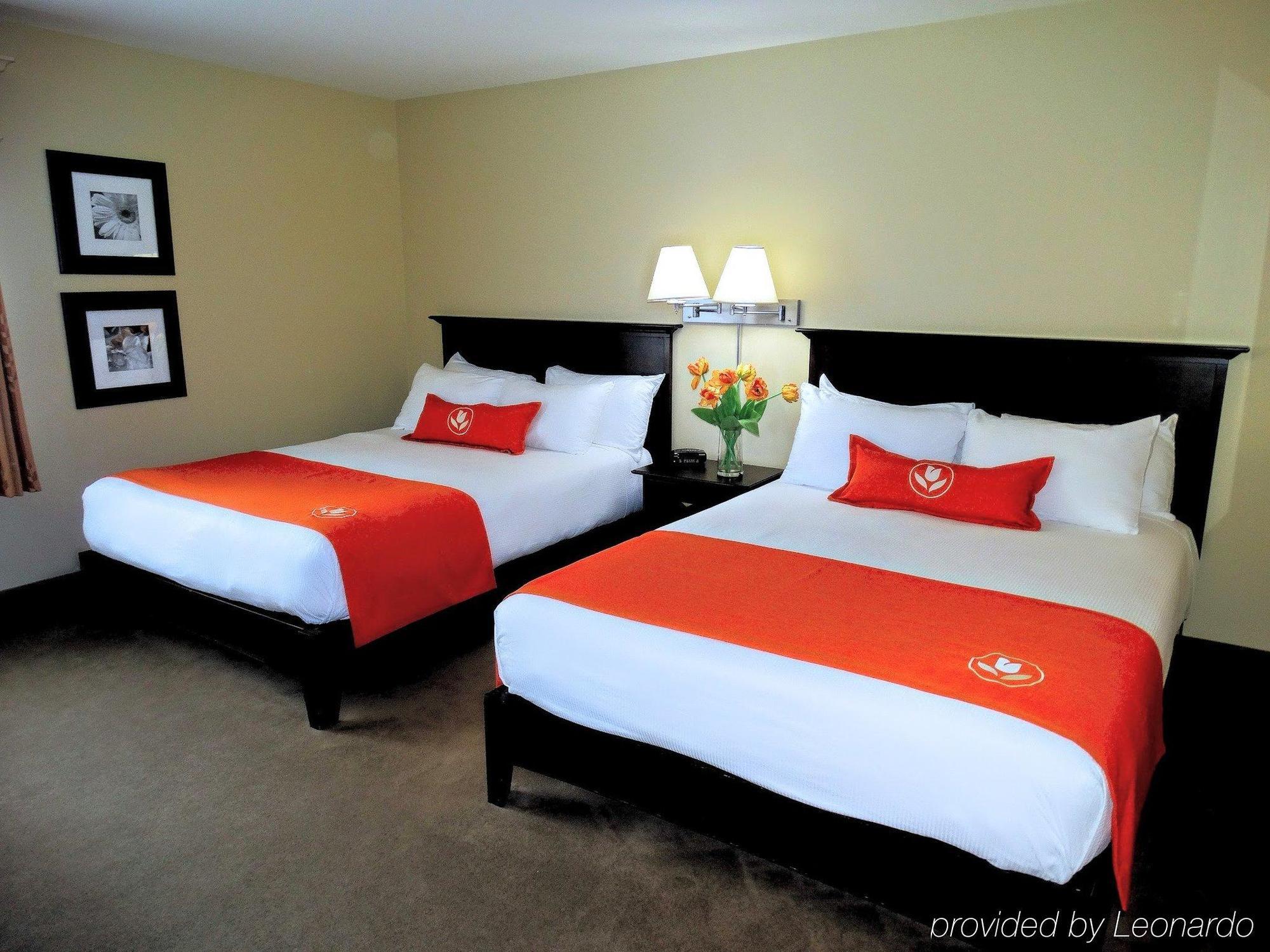 Amsterdam Inn & Suites Sussex Extérieur photo