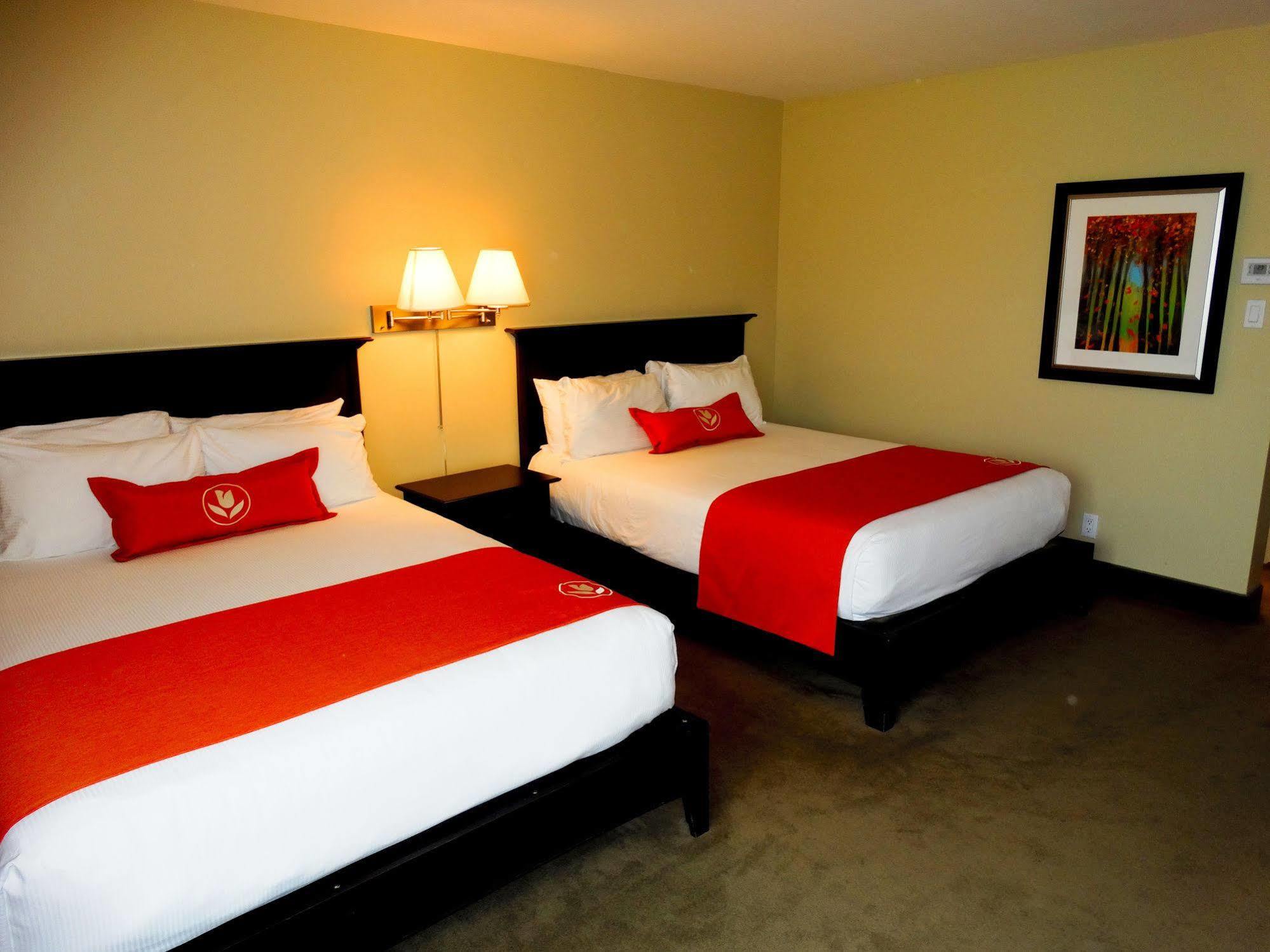 Amsterdam Inn & Suites Sussex Extérieur photo