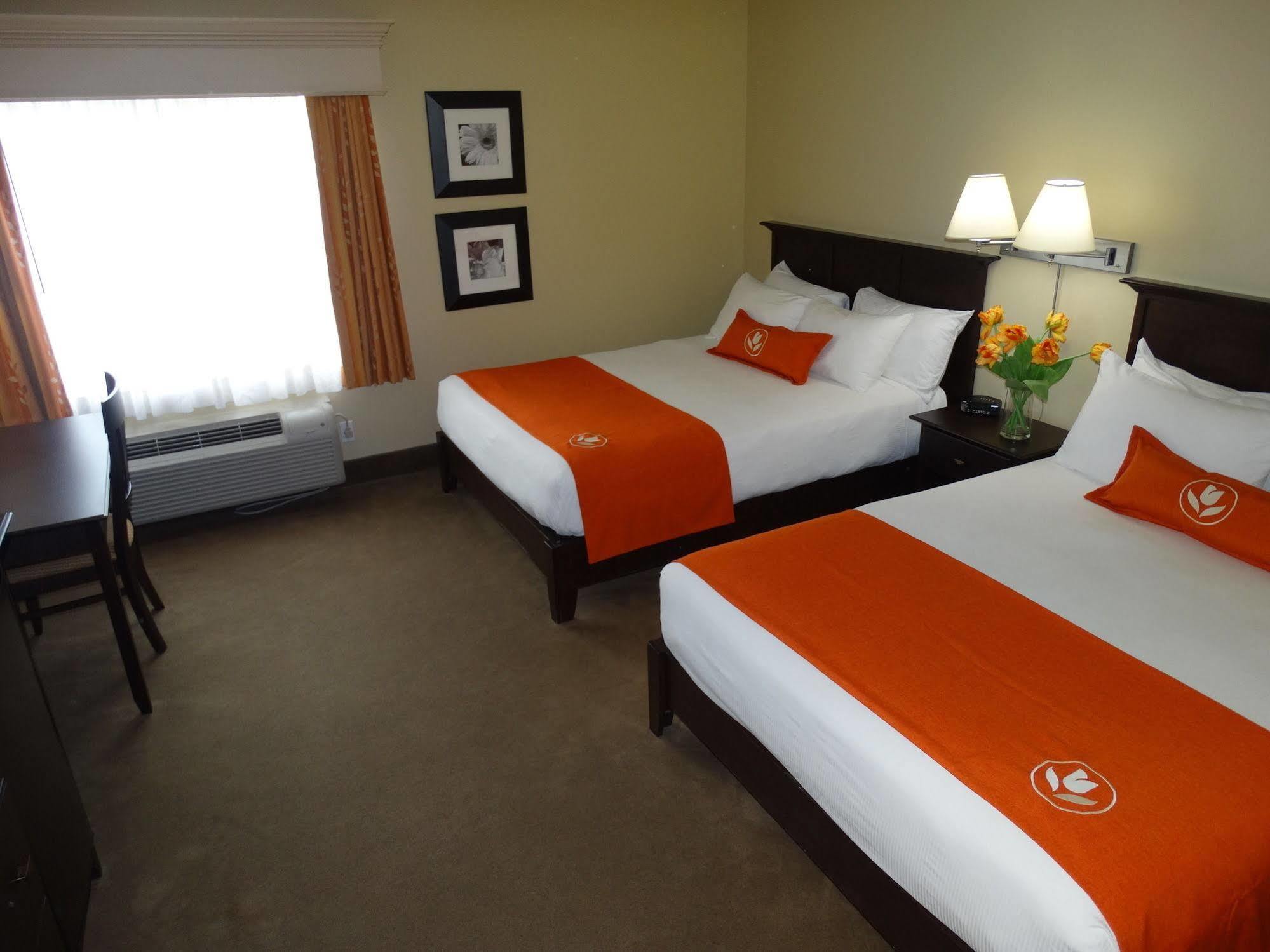 Amsterdam Inn & Suites Sussex Extérieur photo