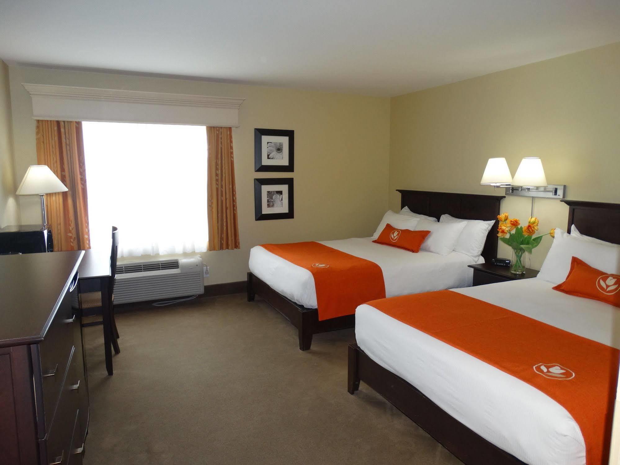 Amsterdam Inn & Suites Sussex Extérieur photo
