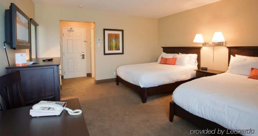 Amsterdam Inn & Suites Sussex Extérieur photo
